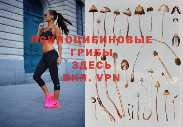 мдпв Краснотурьинск