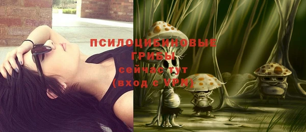 mdpv Куйбышев