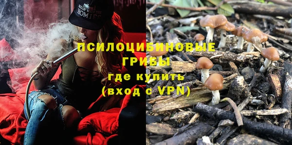 mix Богородицк